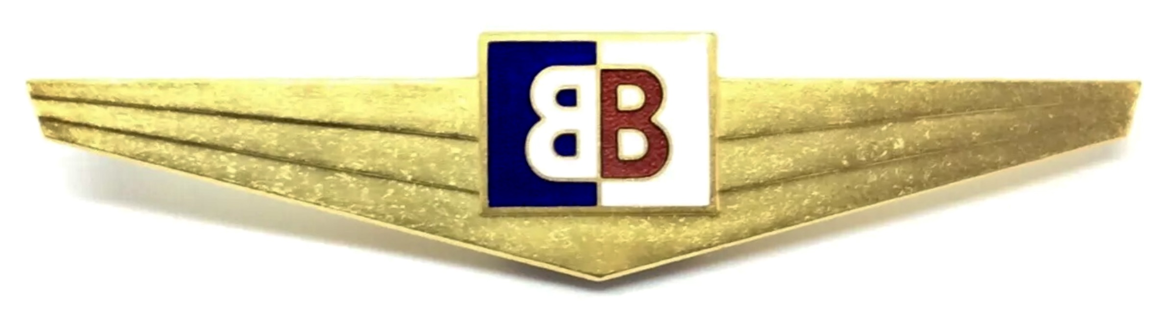 Busy Bee Air Service (BB) Pilot