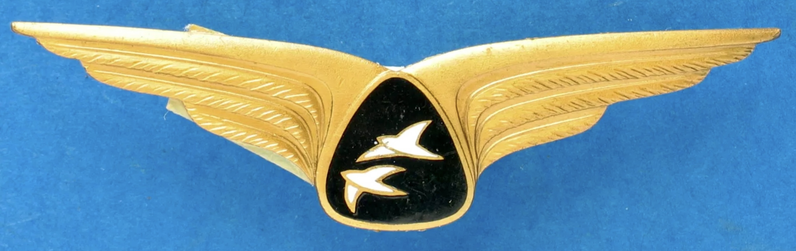 Fluwa - Flugschule Kassel-Waldau Pilot