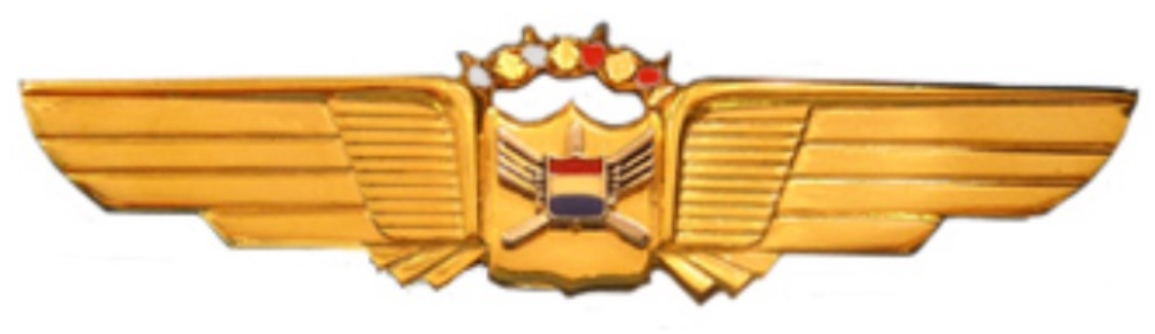 United Air Lines Pilot - 2 Diamonds 2 Rubies (34 - 39 years of service)