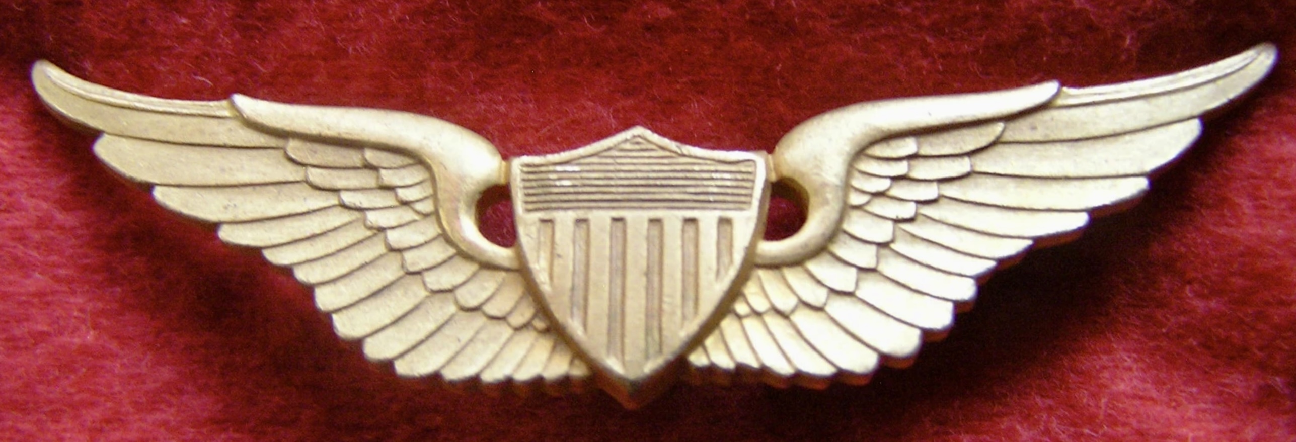 Department of Army Civilian (DAC) Pilot