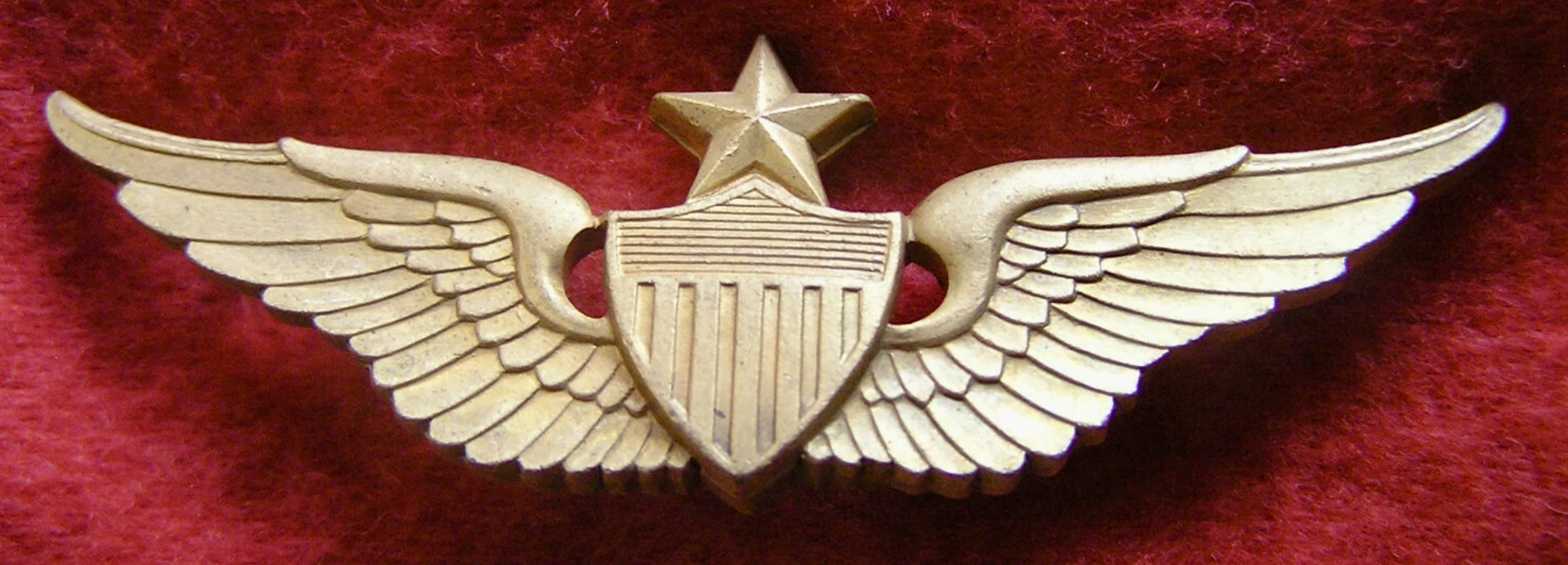 Department of Army Civilian (DAC) Senior Pilot