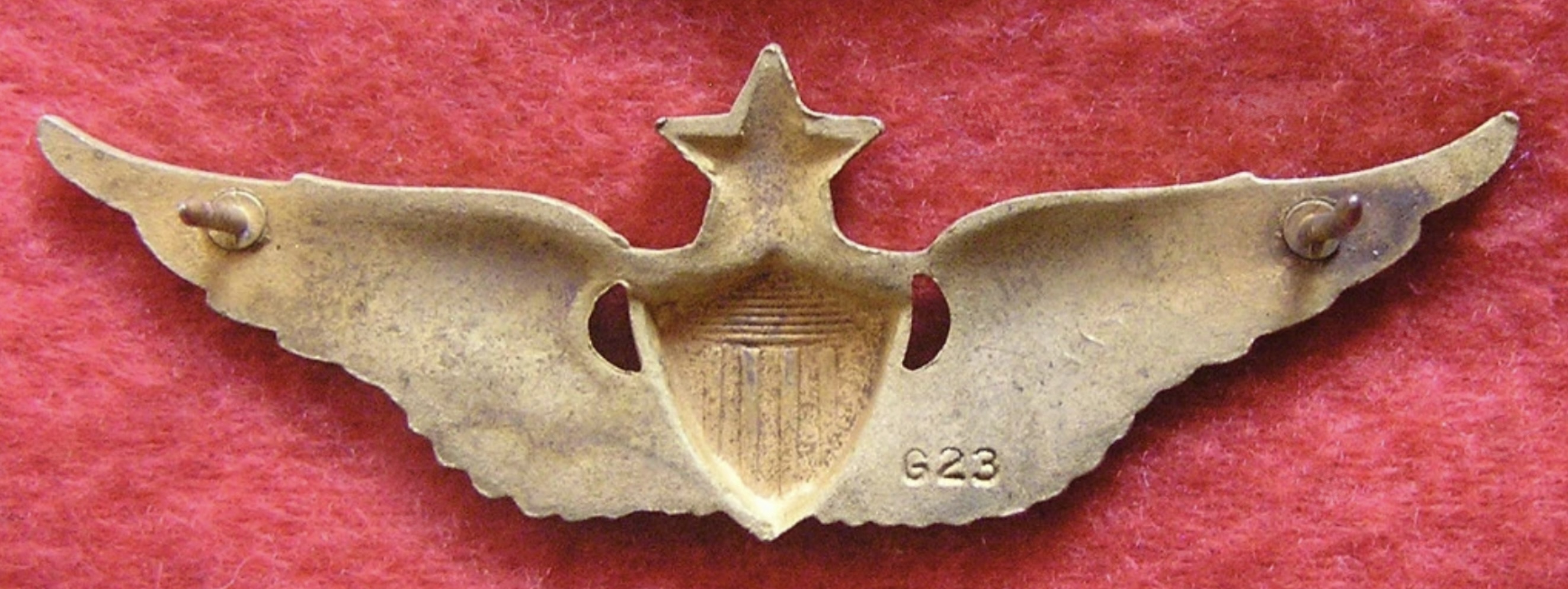Image of Department of Army Civilian (DAC) Senior Pilot wing