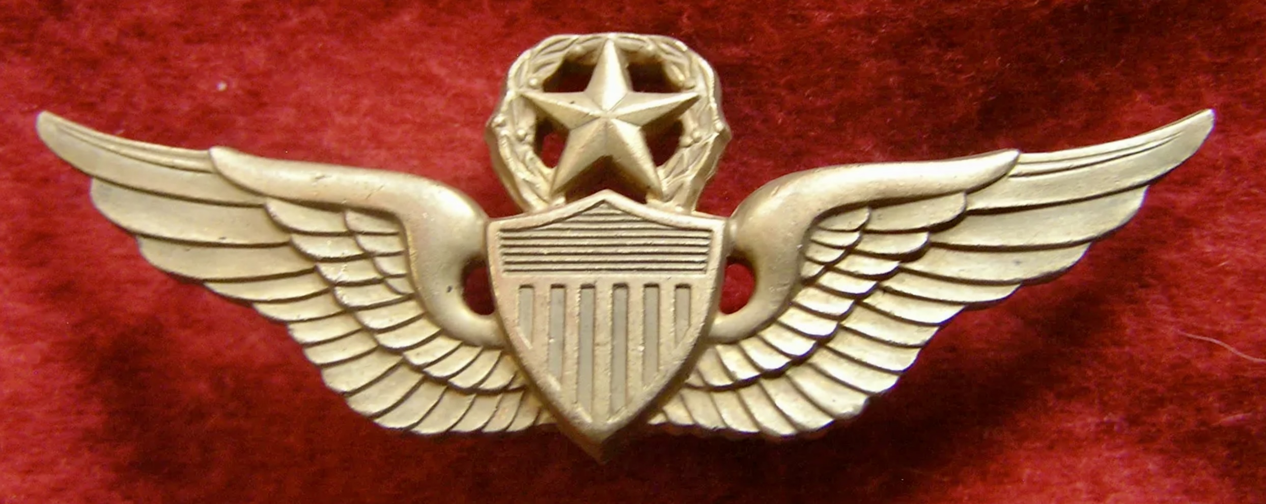 Department of Army Civilian (DAC) Command Pilot