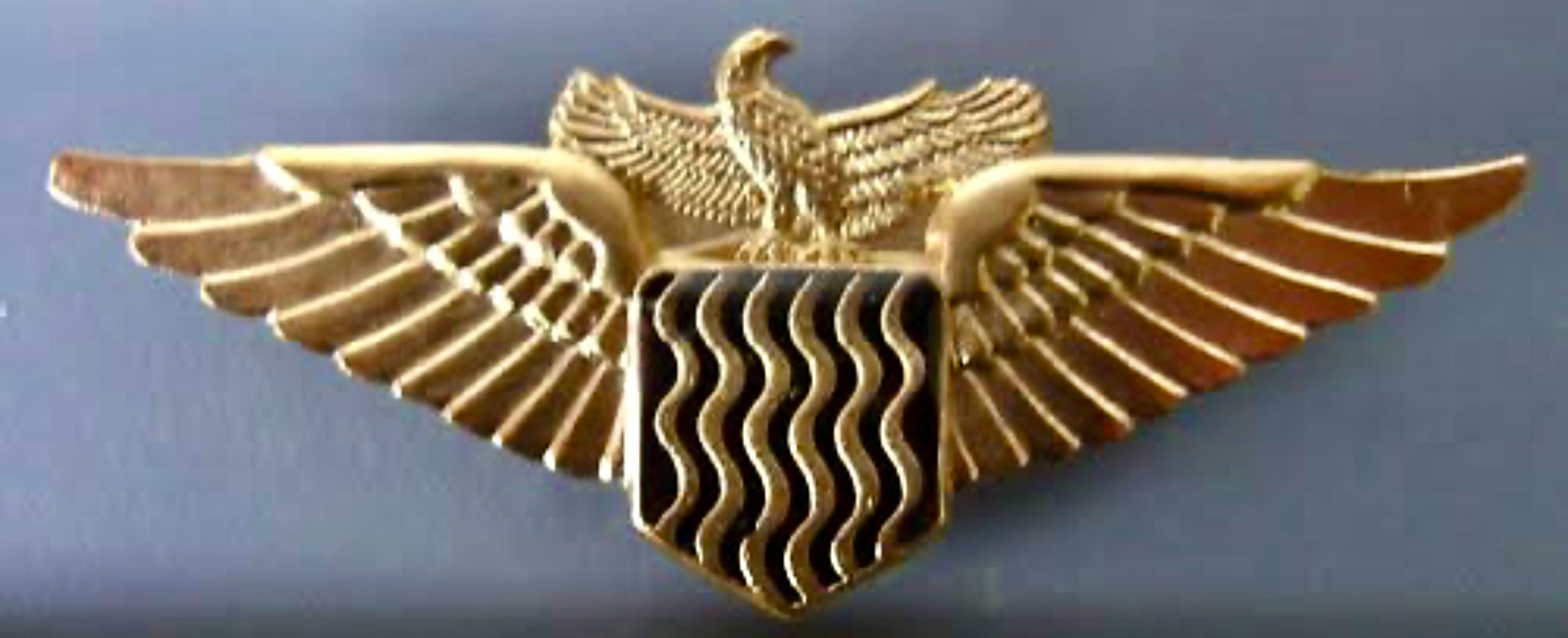 Zambia Air Force Pilot type 2