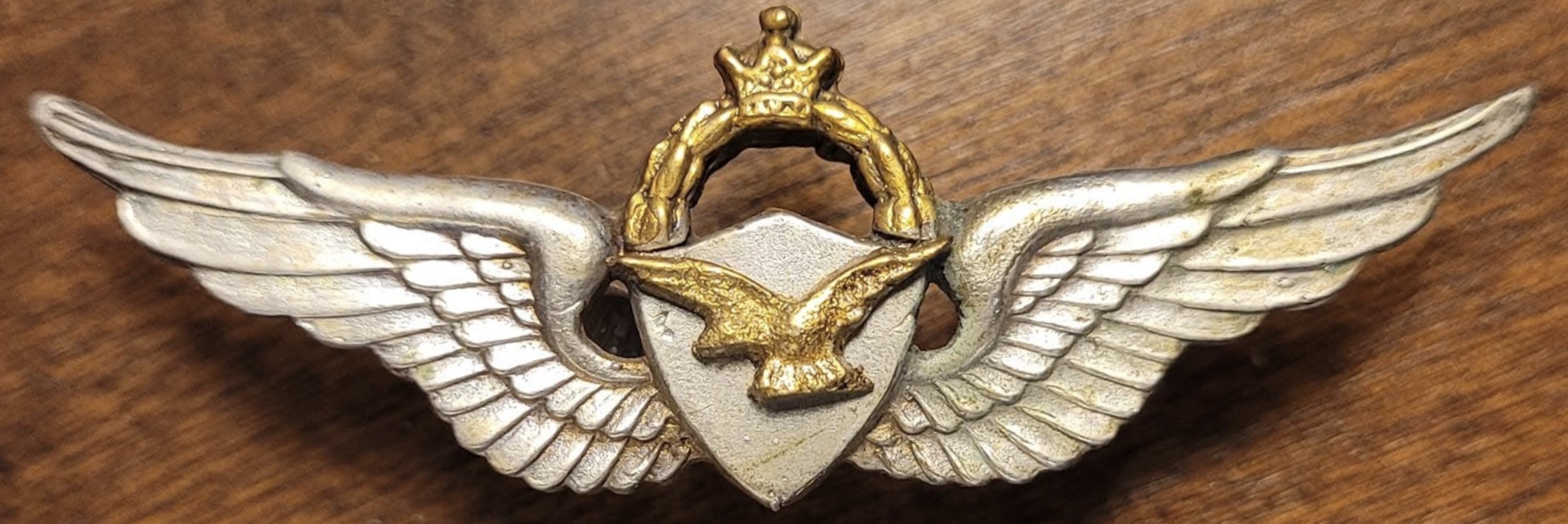 Iran Army Pilot