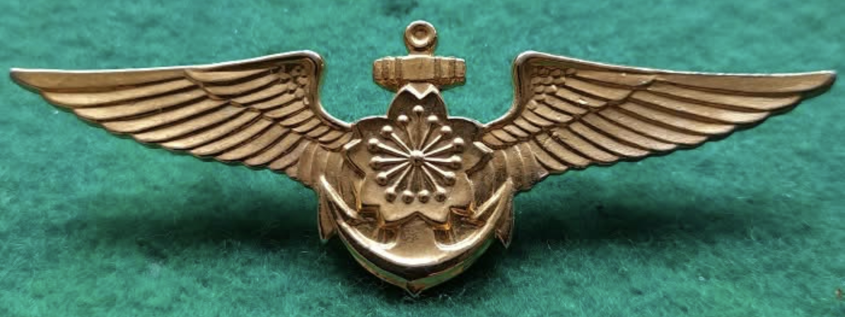 Japan Navy Pilot