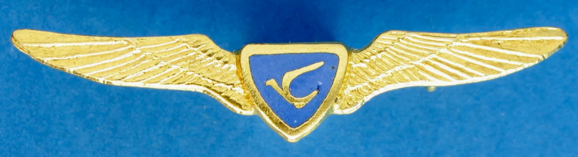 Central African Airways (CAA) Pilot