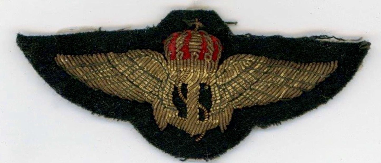 Belgium Navy Pilot