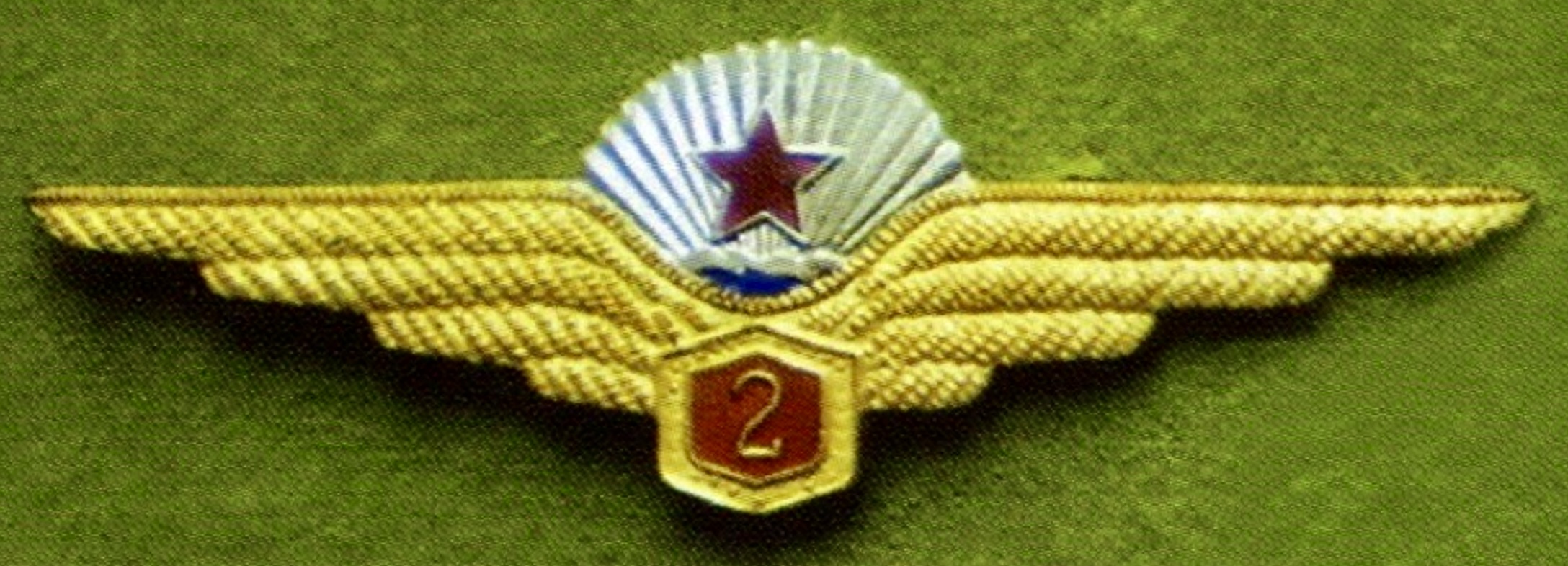 North Korea - Korea People’s Army Air Force Pilot Class 2
