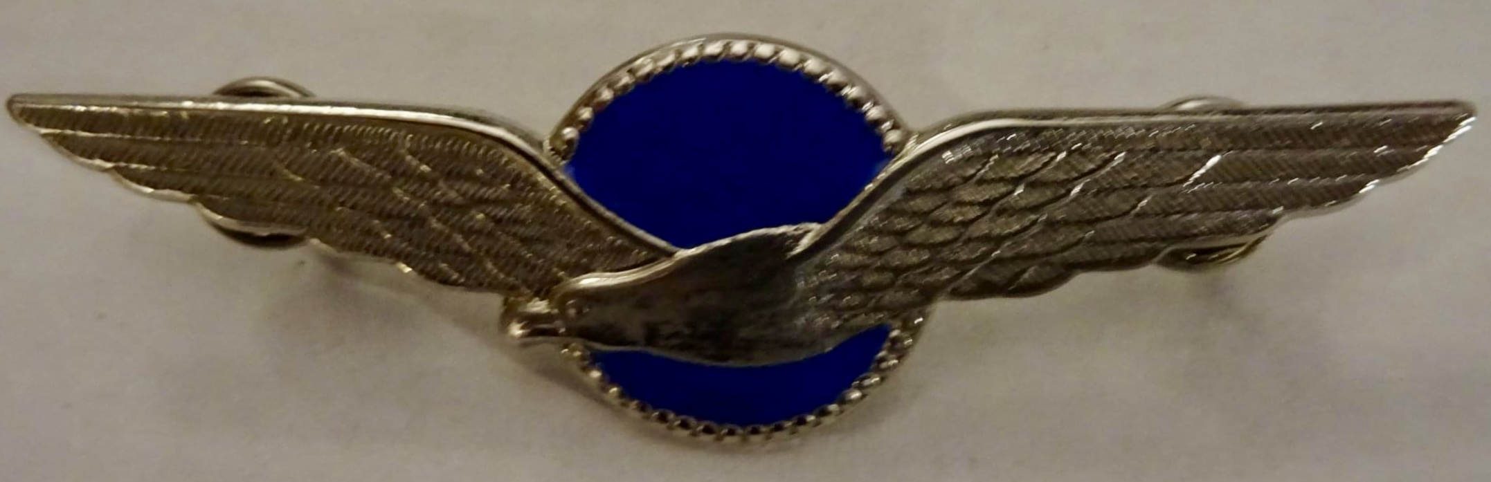 Netherlands Air Force Pilot (Light Aircraft or Completed Initial Training)