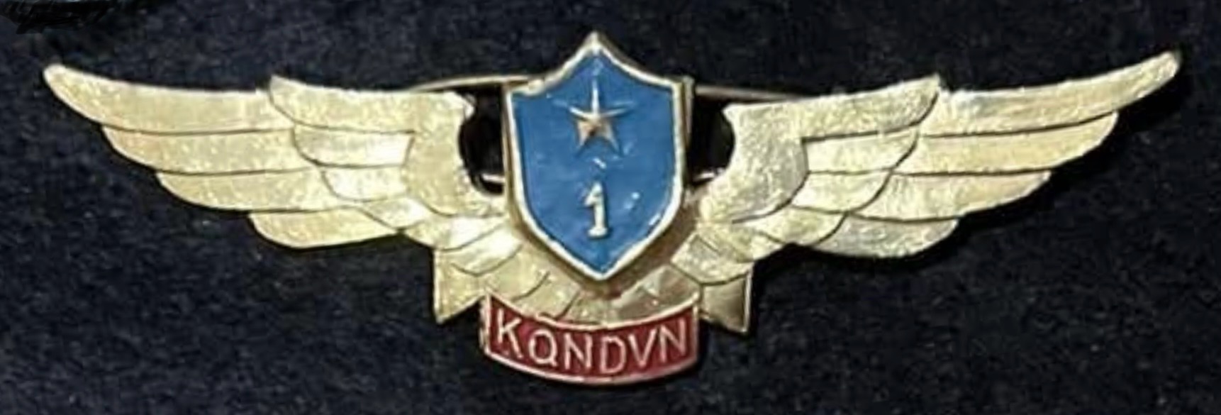 Socialist Republic of Vietnam Air Force Pilot Class 1