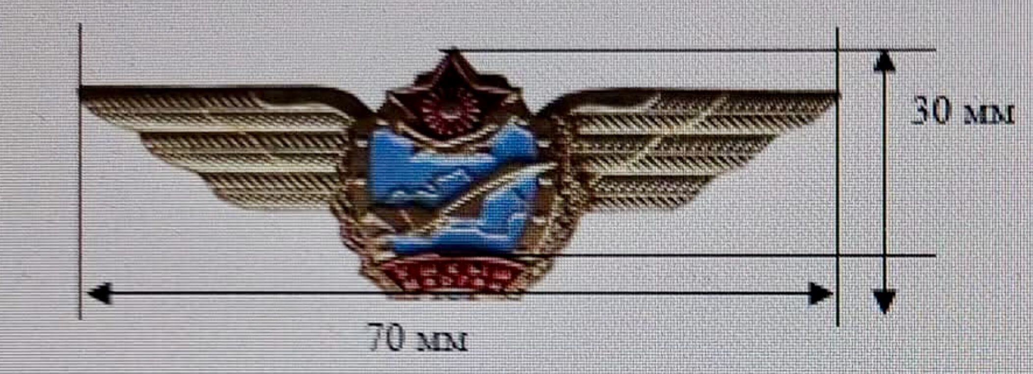 Image of Air Defense Forces Sniper Pilot wing