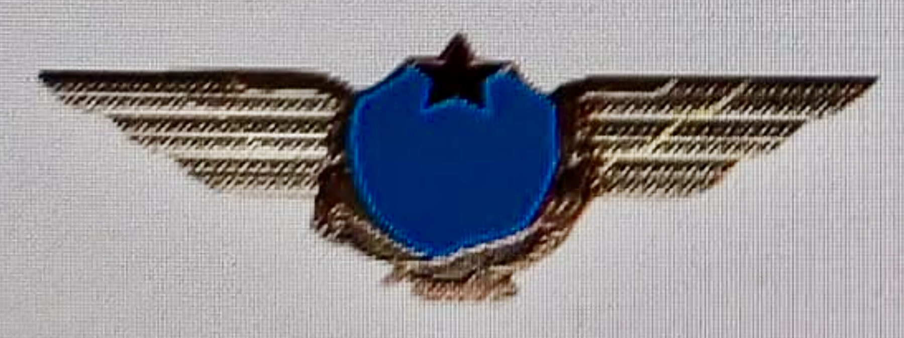 Kazakhstan Air Defense Forces Student Pilot