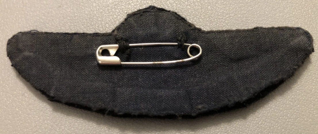 Image of Unknown - NAW wing Pilot wing