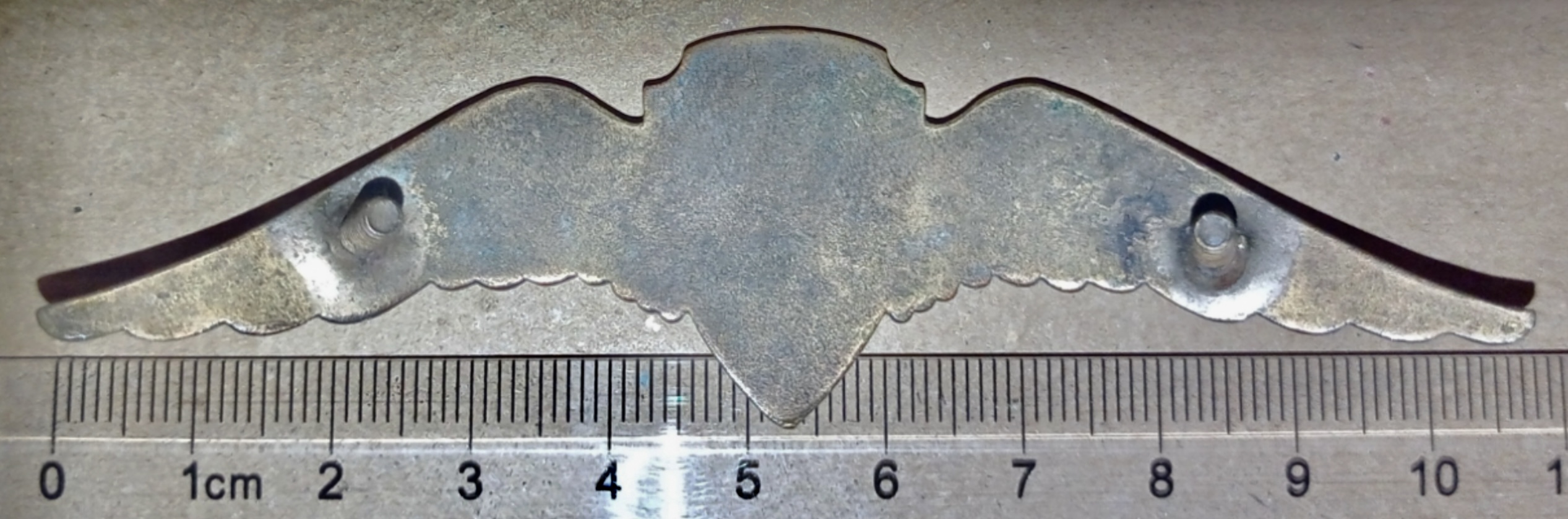 Image of Unknown - Real S.A. Pilot wing