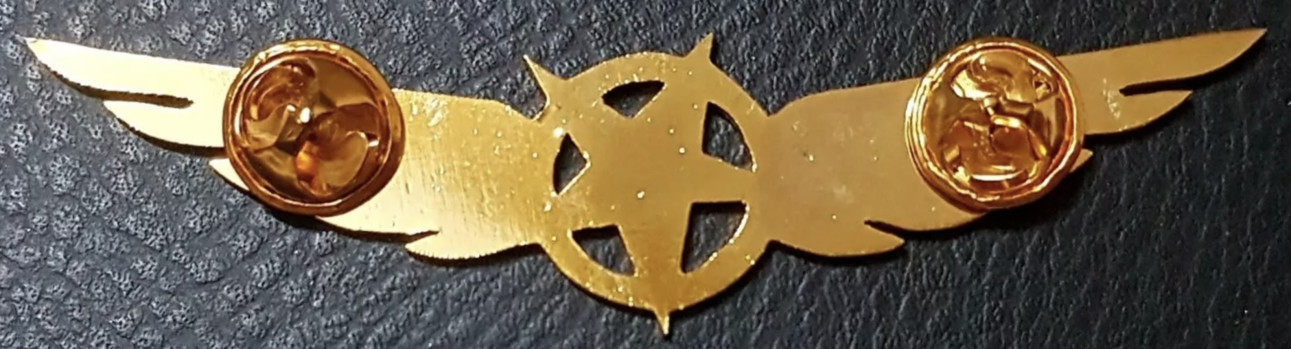 Image of AirSail (Air Sail) Pilot wing