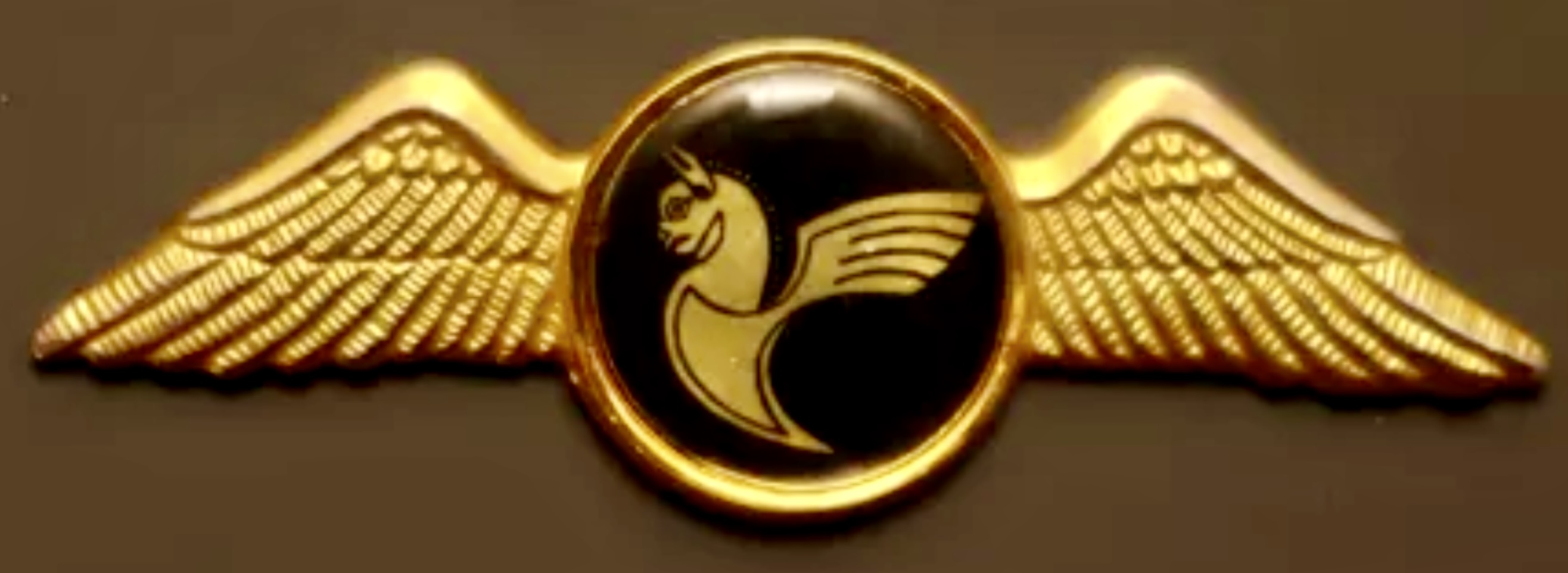 Iran Air Pilot