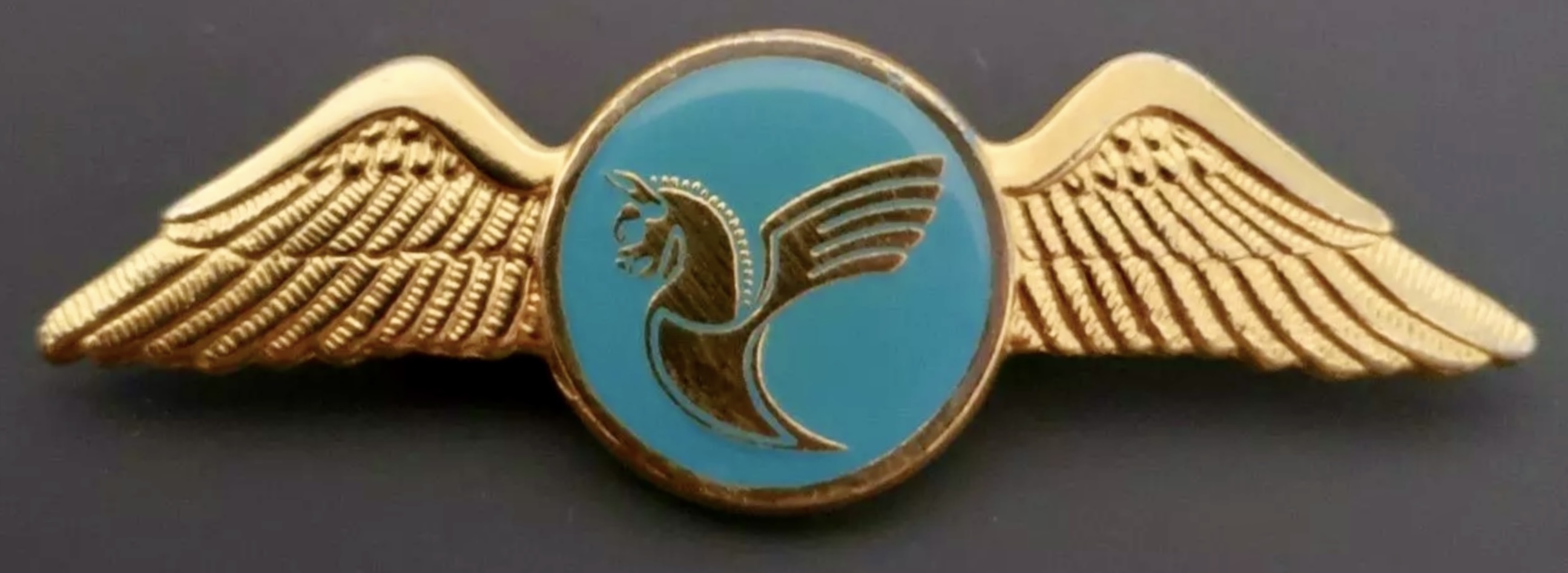 Iran Air Pilot