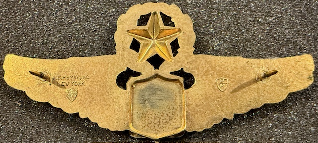 Image of Air Force Command Pilot wing
