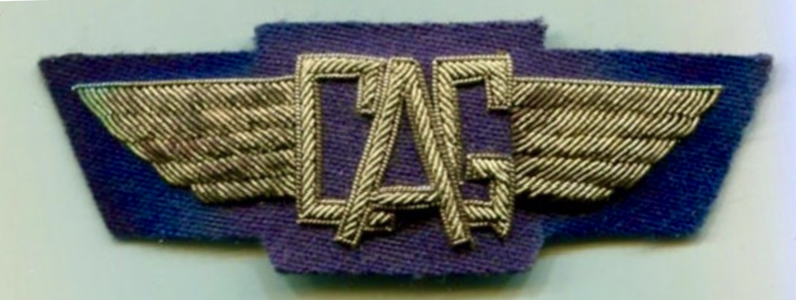 Civil Air Guard (CAG) Pilot