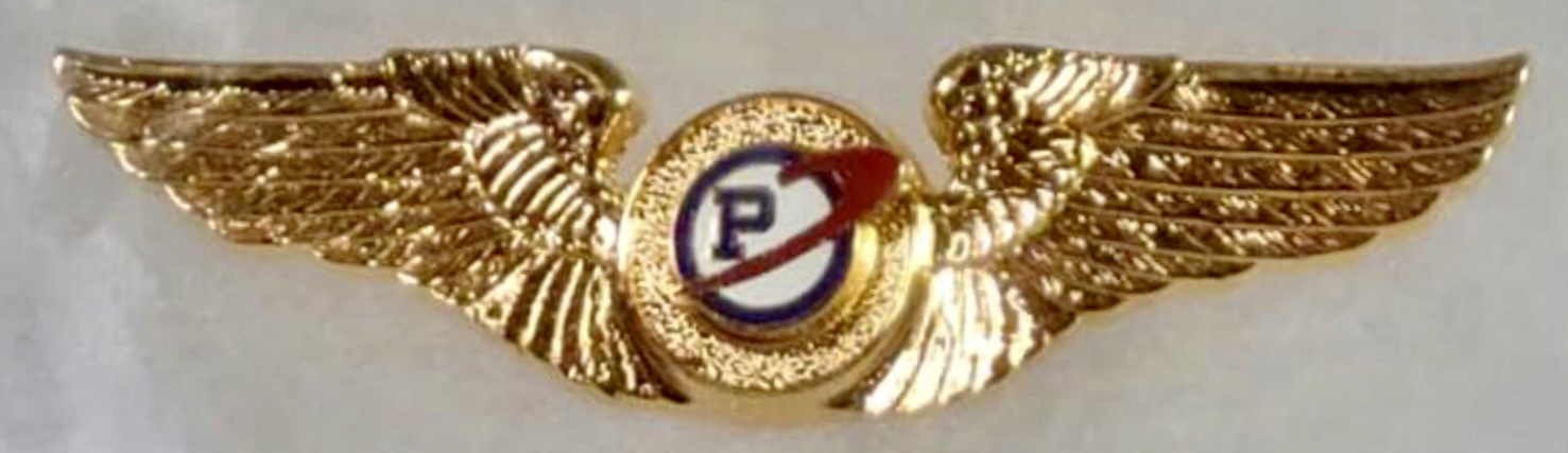Purdue Airways Pilot