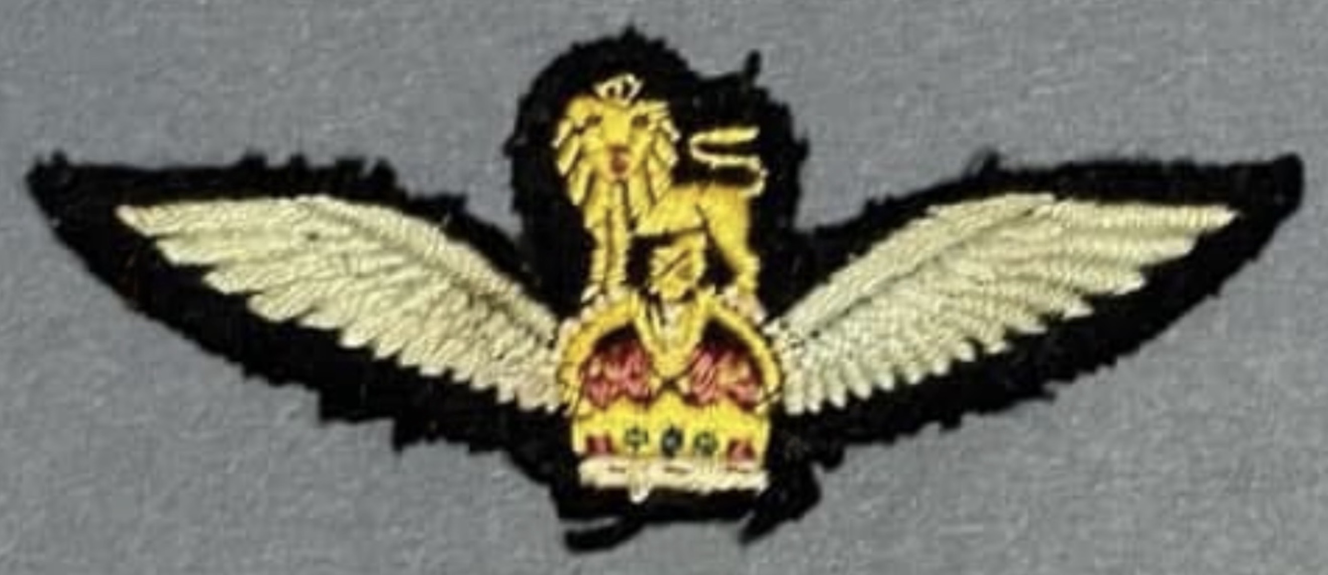 United Kingdom Army Pilot