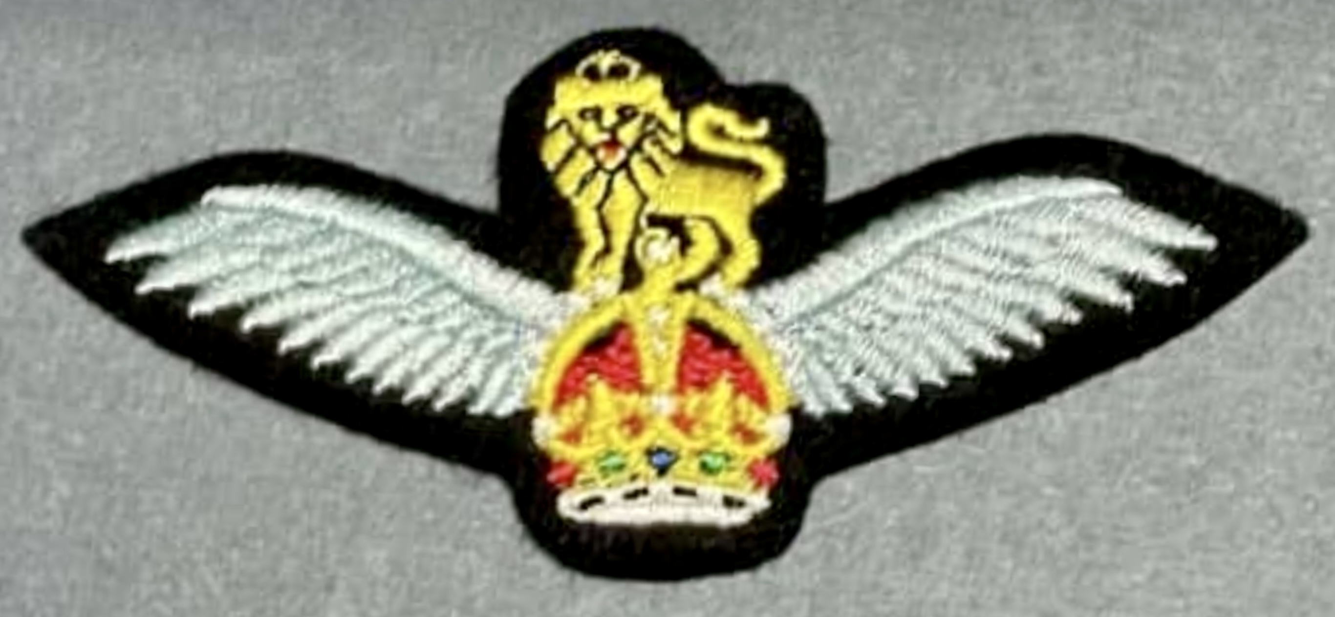 United Kingdom Army Pilot