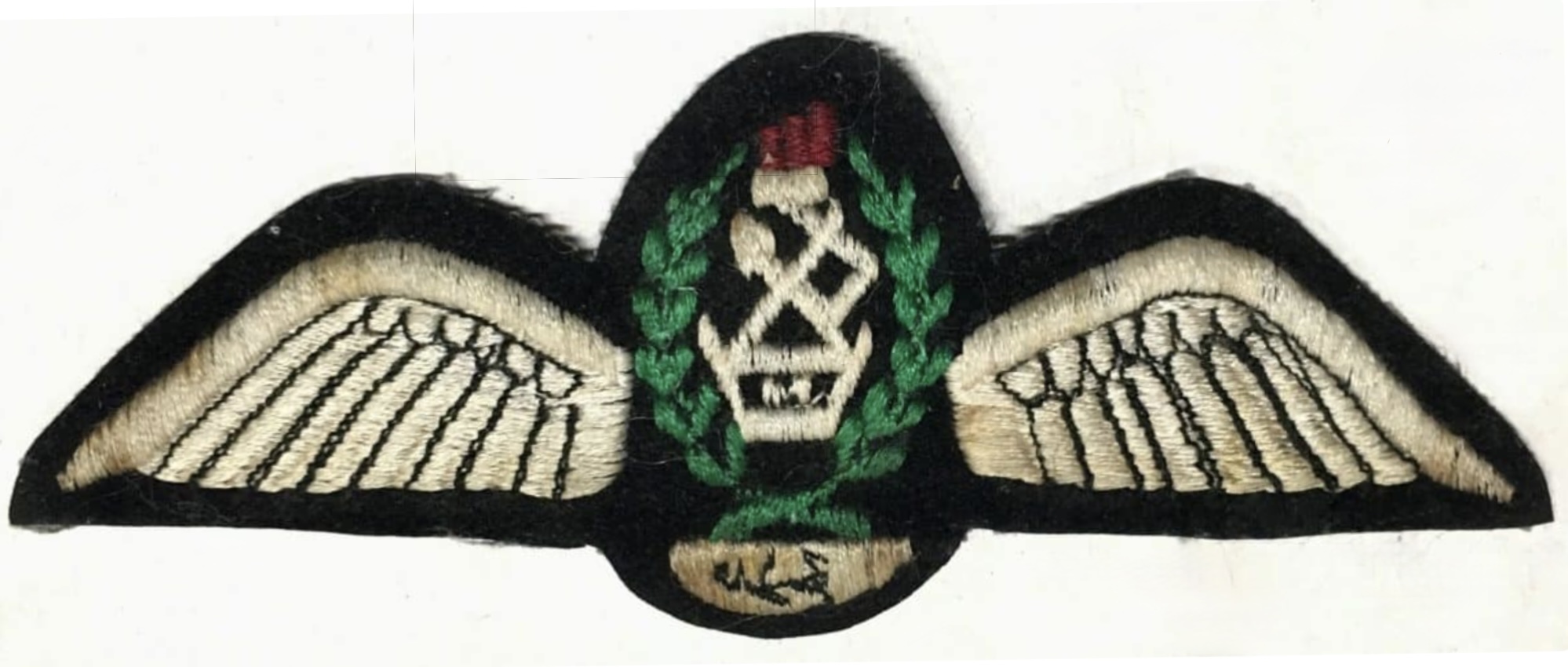 Iraq Air Force Pilot
