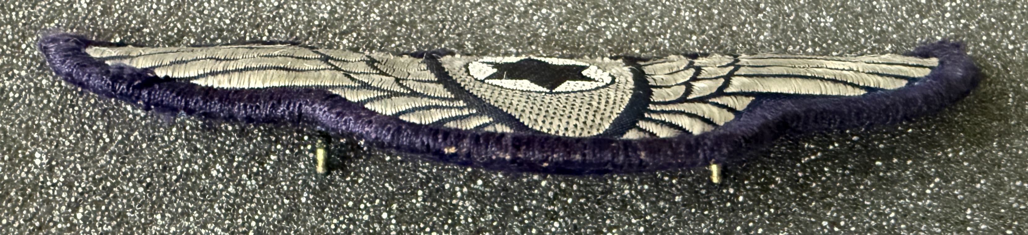 Image of Air Force Pilot wing