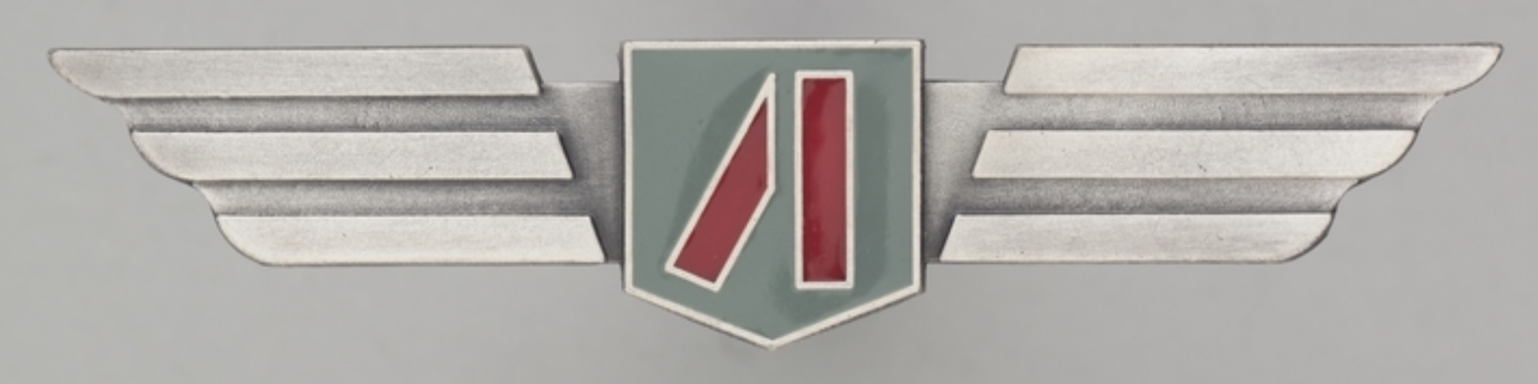 Image of Airborne Express First Officer / Second Officer wing