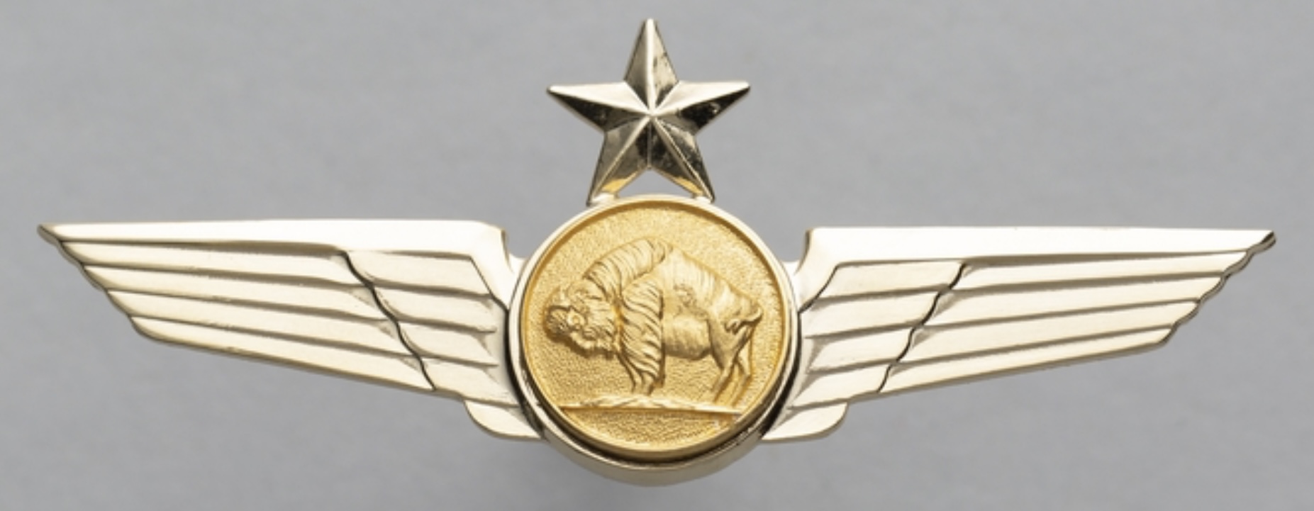 Buffalo Airways First Officer