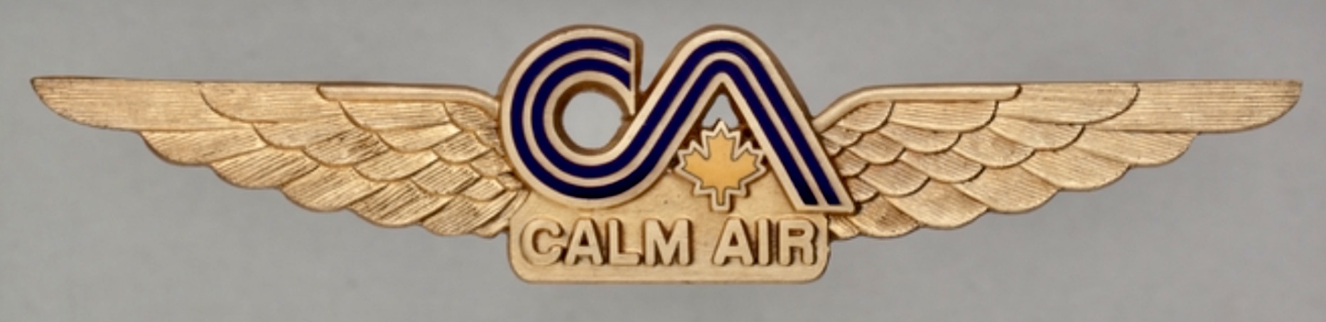 Calm Air Pilot