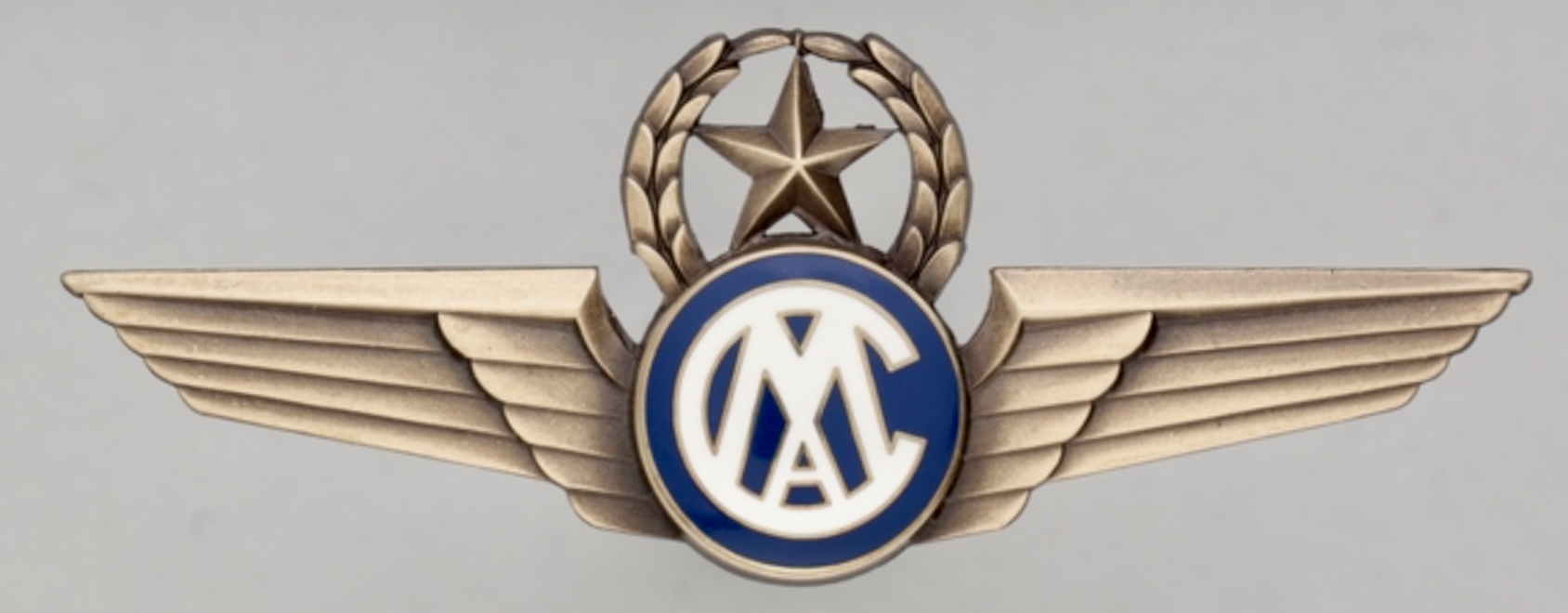 CAM Air International Captain