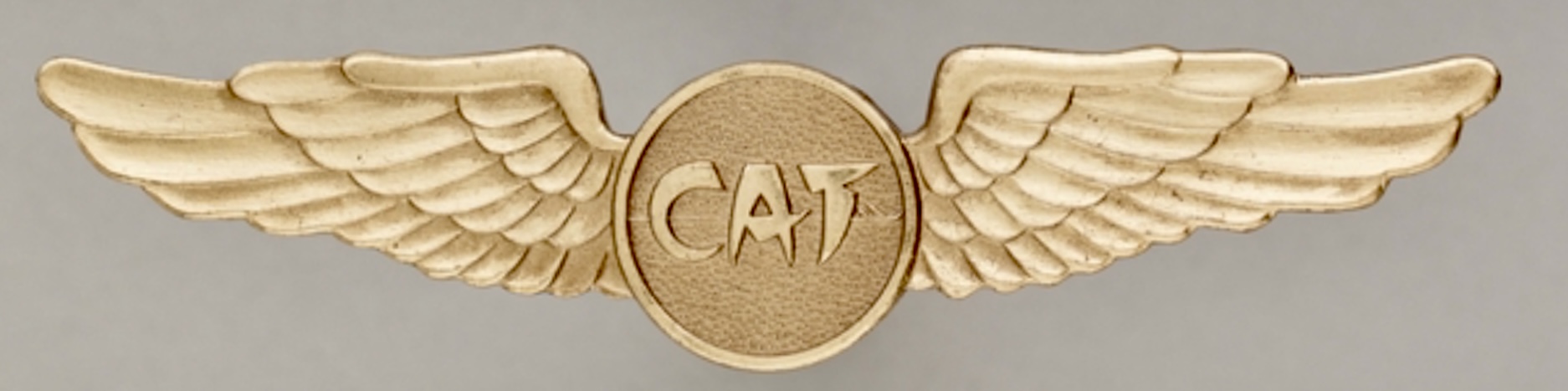 Civil Air Transport (CAT) First Officer