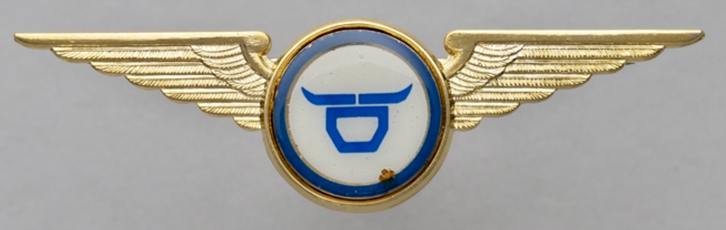 Maverick Airways Pilot