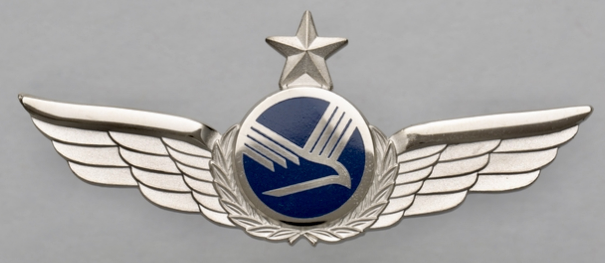 Pace Aviation First Officer 