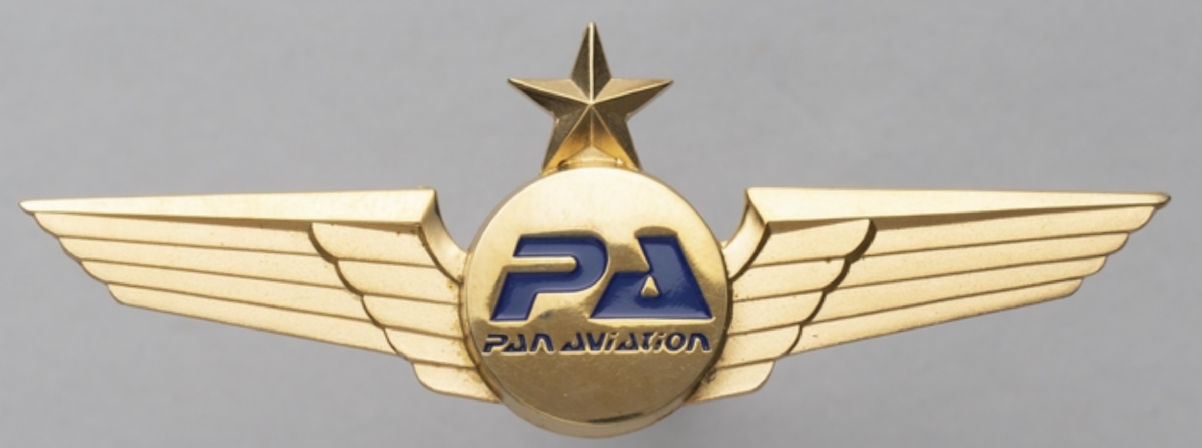 Pan Aviation (PA) Pilot