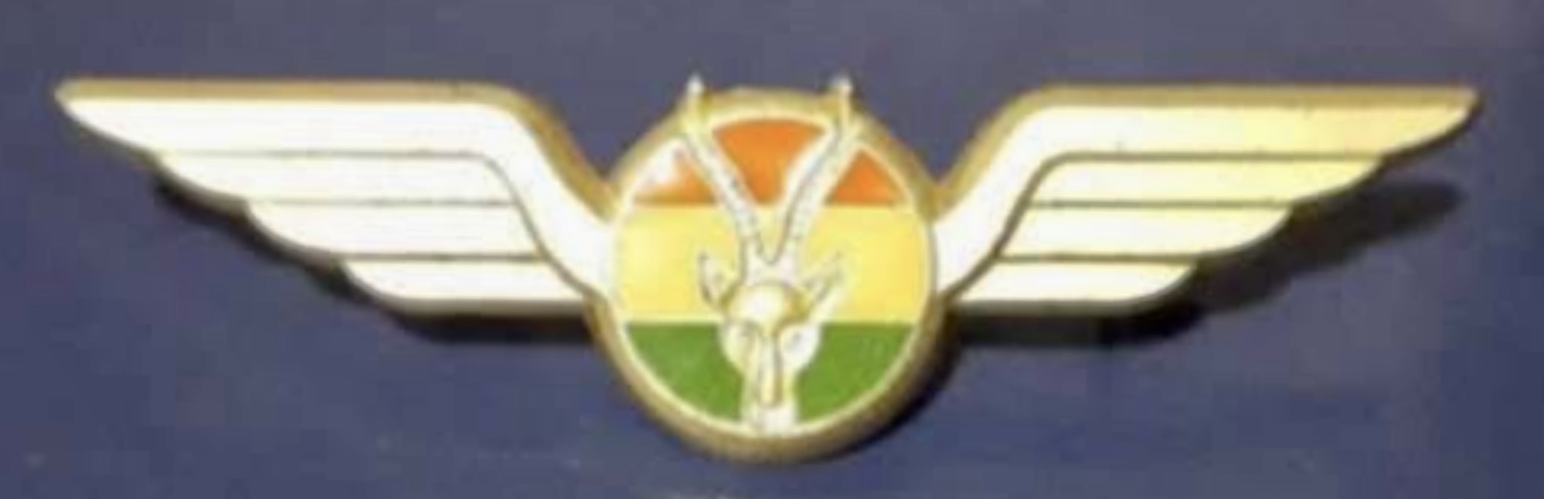 Niger Air Force Pilot