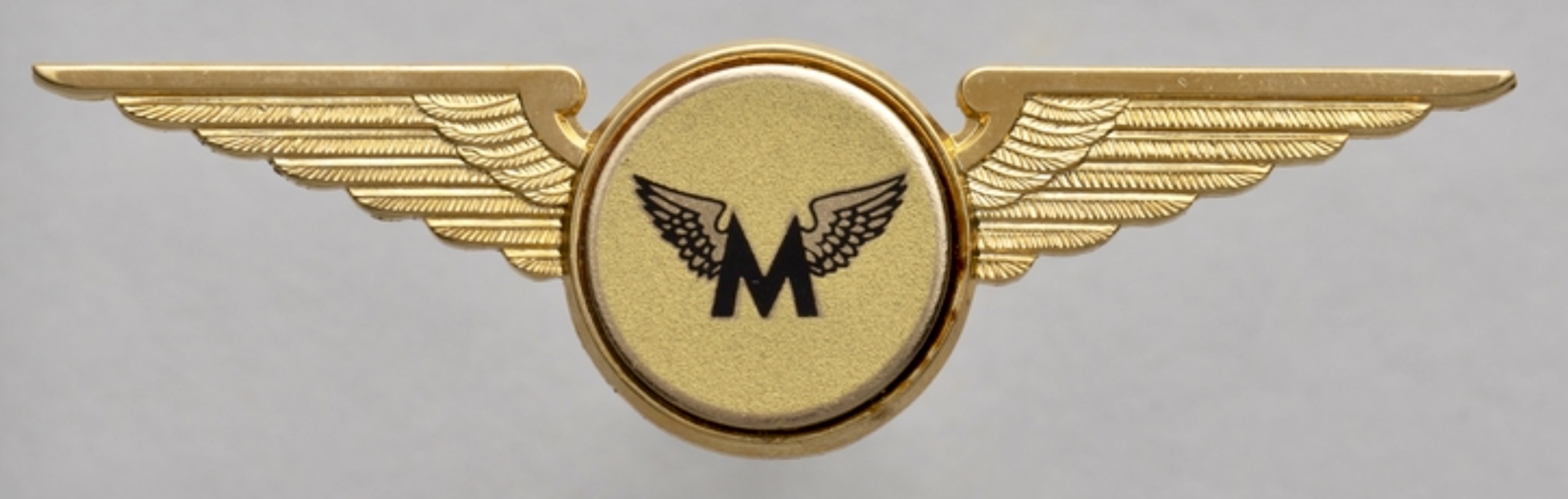 Mustang Airlines Pilot