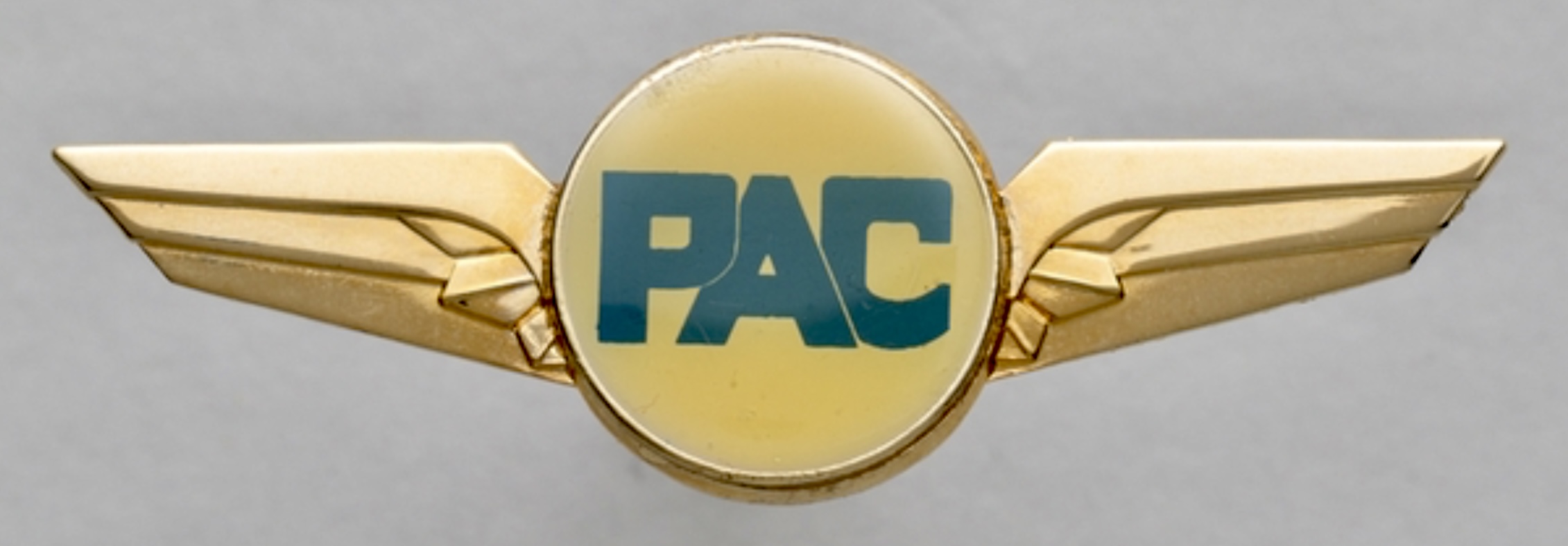 Professional Air Charter (PAC) Pilot