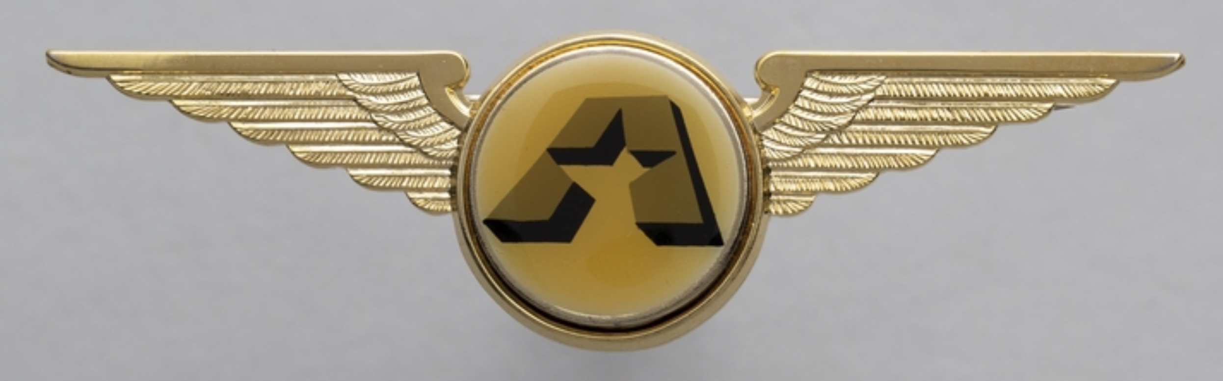 Star Aviation Pilot