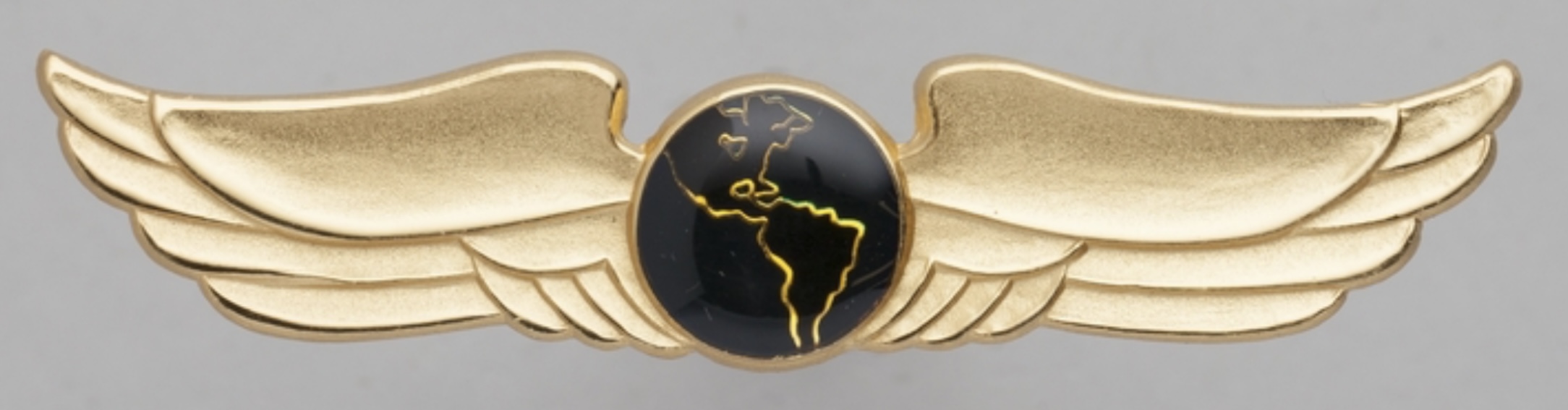 Management Air Service Pilot
