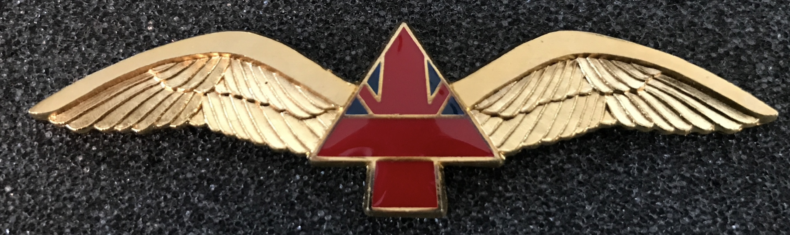 British Aerospace Pilot