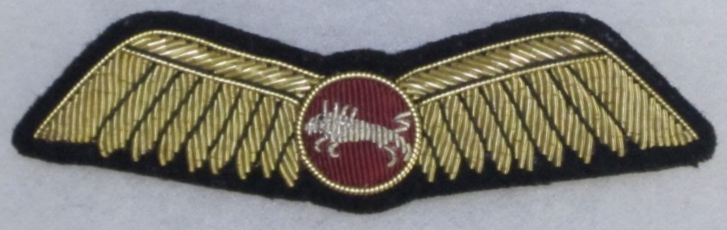 British World Airlines Pilot