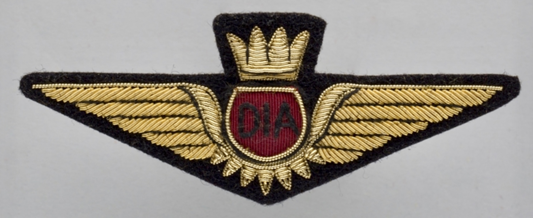 Donaldson International Airways (DIA) Pilot