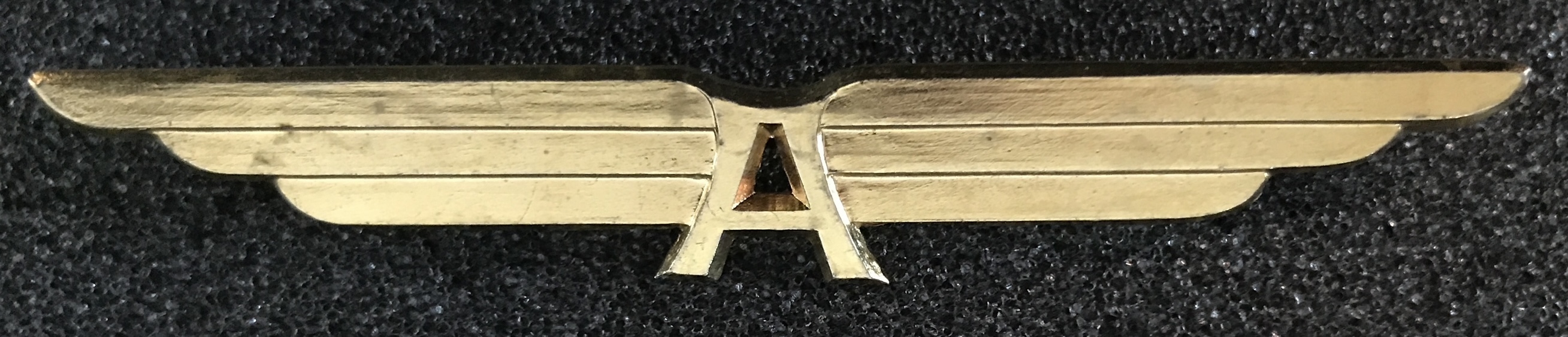 Image of Aero Lloyd Flugreisen Pilot wing