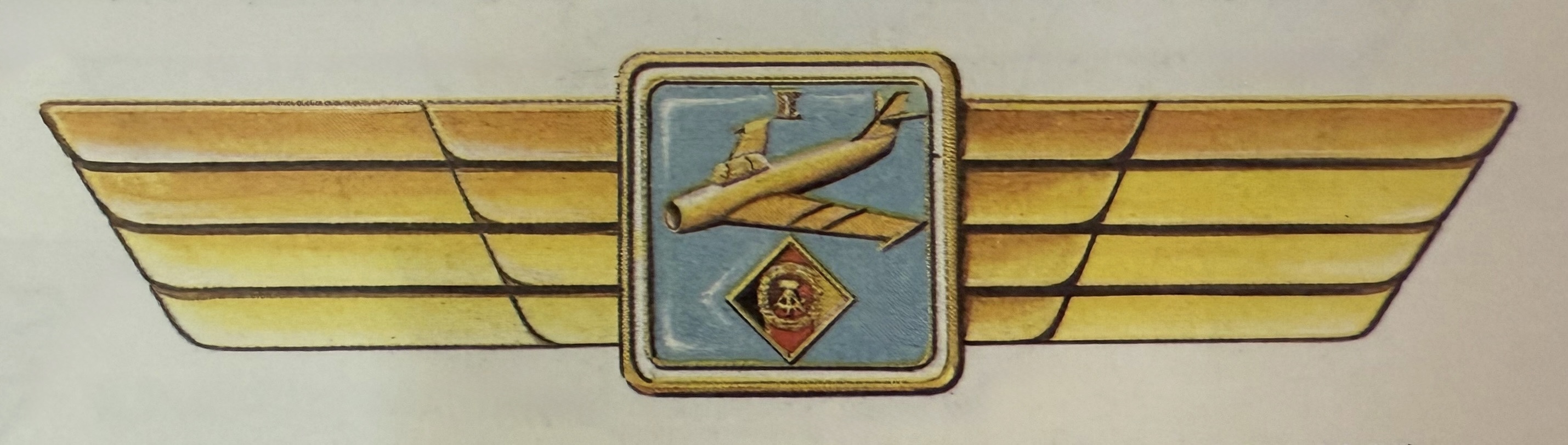 East Germany Air Force Pilot