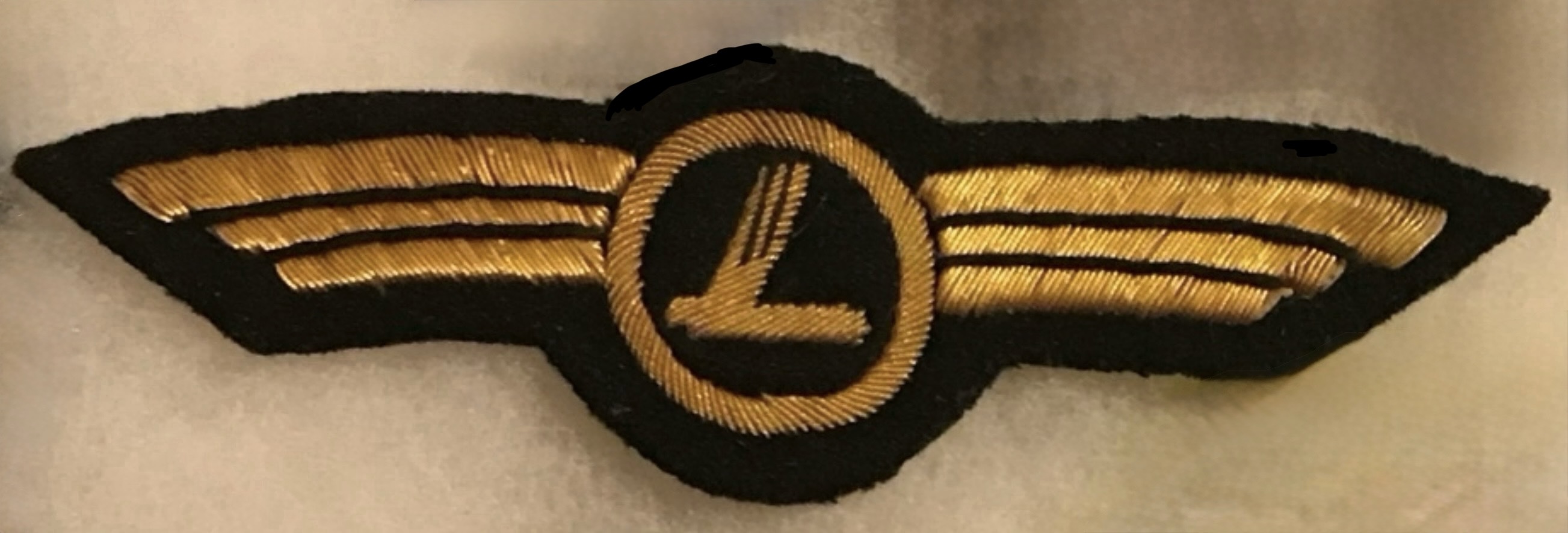 Focke-Wulf Flugzeugbau GmbH Pilot