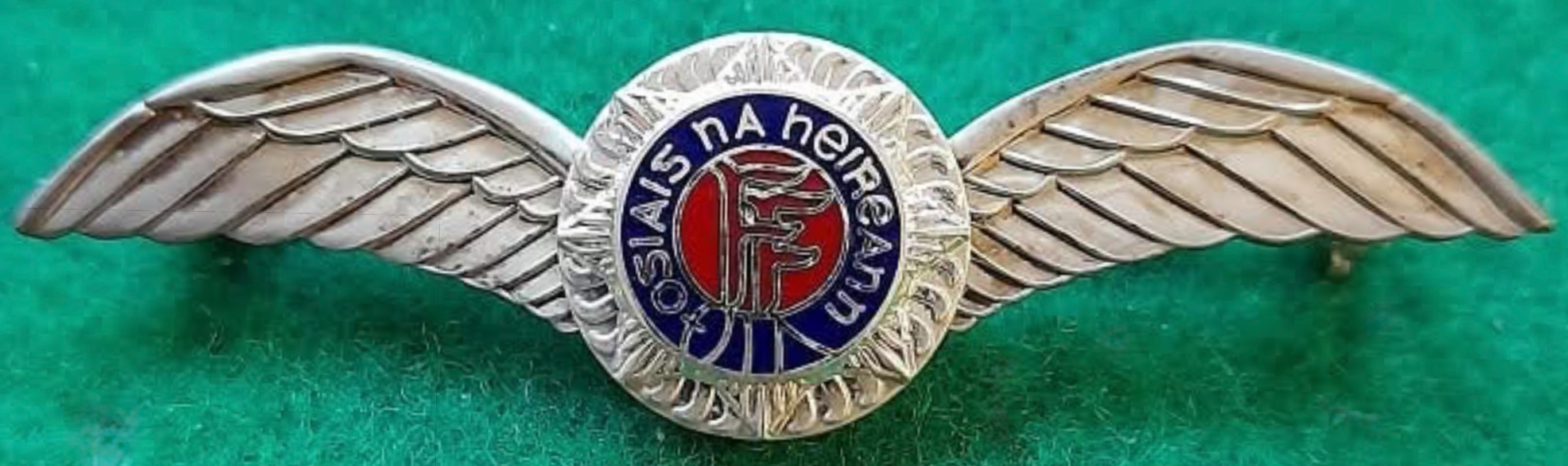 Image of Ireland Air Corps Pilot wing
