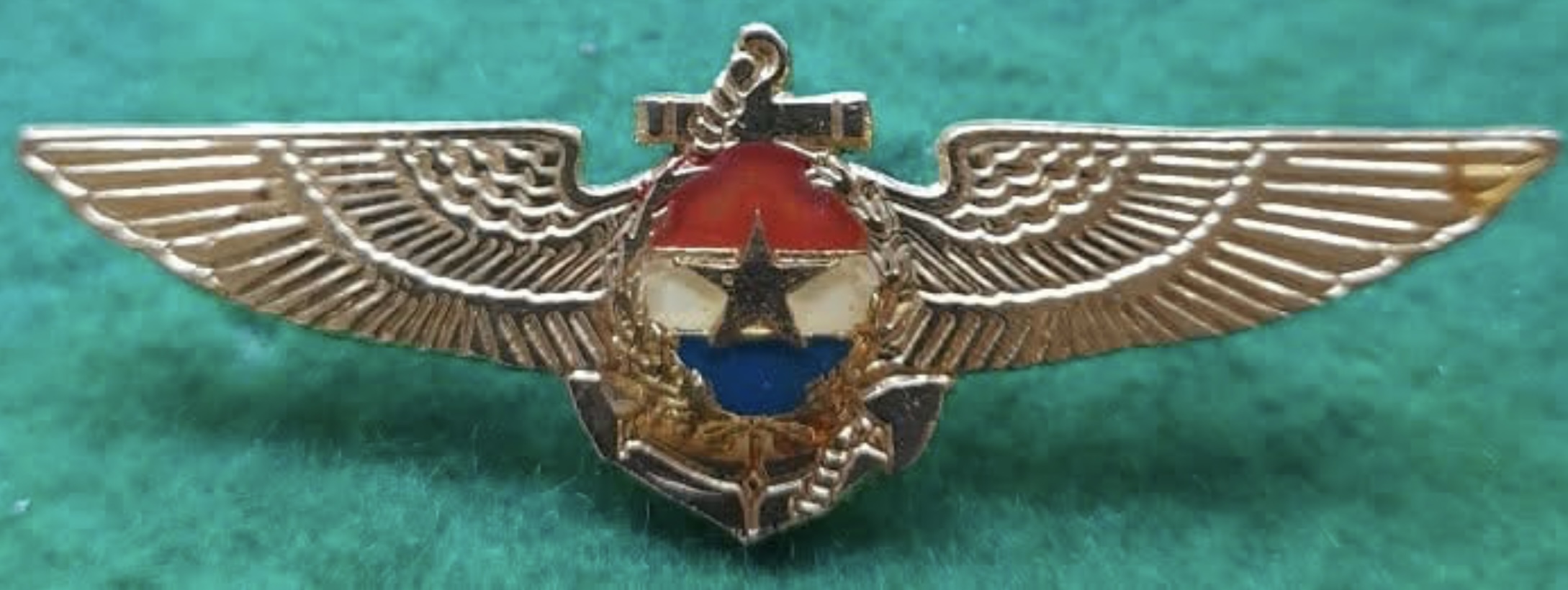 Paraguay Navy Pilot